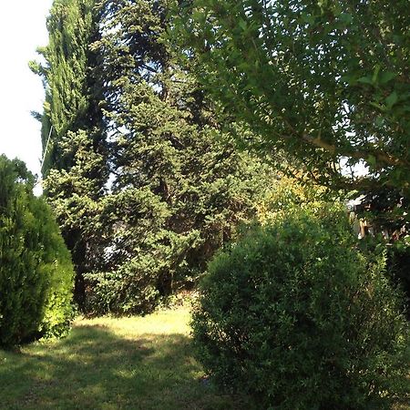Il Belvedere Di Roccavo Βίλα Καστιλλιόν Φιορεντίνο Εξωτερικό φωτογραφία